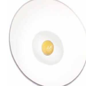 Prolite PEL 1W LED Non Maintained Recessed Down Light 90 CR CX OA