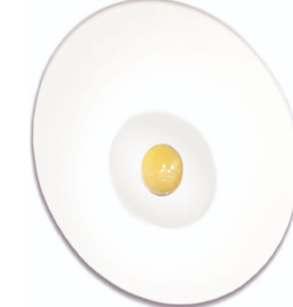 Prolite PEL 1W LED Non Maintained Recessed Down Light 90 CR CX OA
