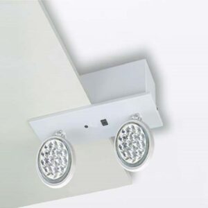 Prolite PEL LED Twin Beam Light  RM