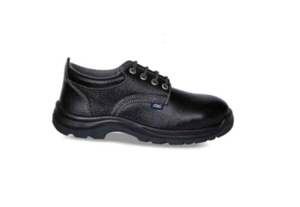 Allen Cooper Antistatic Steel Toe Black Safety Shoes,  AC 1437 CT