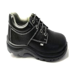 Allen Cooper Antistatic Steel Toe  Safety Shoes,  AC 1656