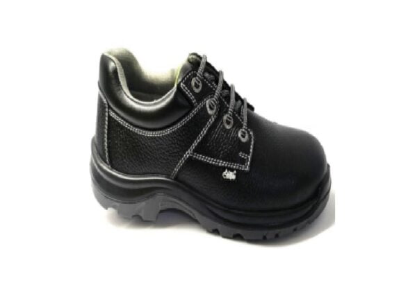 Allen Cooper Antistatic Steel Toe  Safety Shoes,  AC 1656