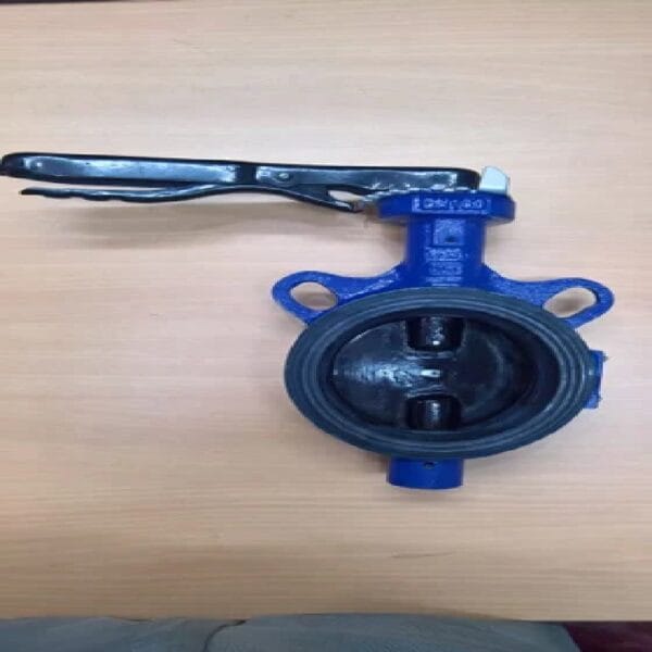 RAINX Wafer Type C.I Butterfly Valve-125mm
