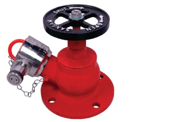 Sangam Cast Iron Plus SS Single Hydrant - Compact -14Kg - Type-A, BOD-CI, BN-SS-202, AD-202