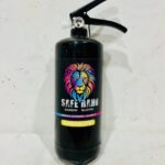 holi-special-colour-extinguisher-moq-5pcs-4kgs