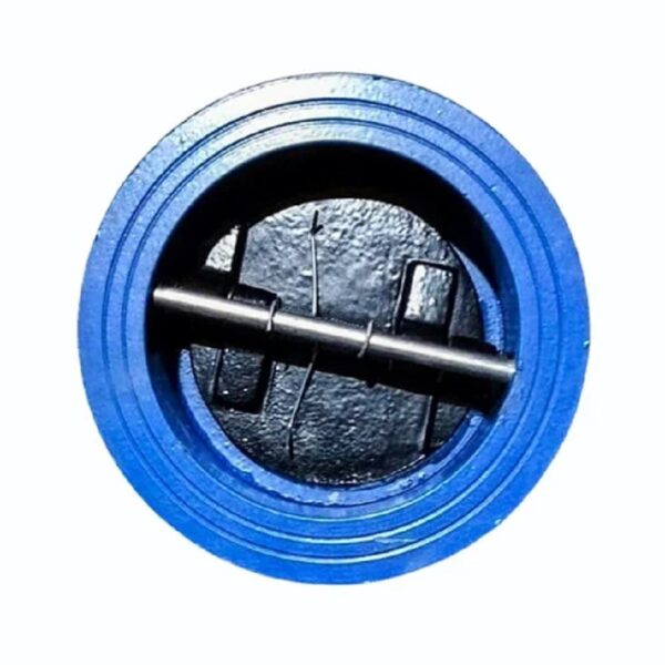Swastik Dual plate wafer check Valve Ductile Iron disk PN-10, Sizes: 80mm (MOQ - 2 Pcs)