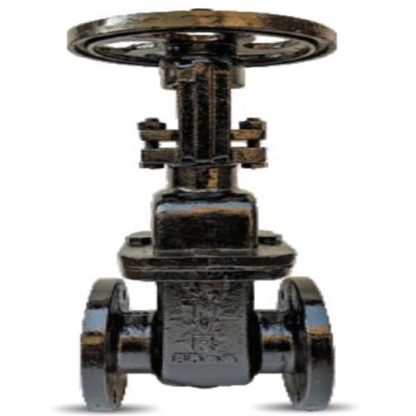 NVR C.I Sluice Valve Rising Stem Flanged, With Limit Switch, S.S Stem, S.S Working Parts 50 - 300mm