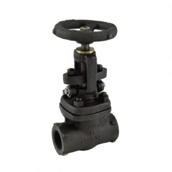 Zoloto Forged Steel Globe Valve, Class-800 (Full Bore) 10-40mm