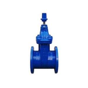 Kartar-C.I-Sluice-Valve-Flanged-Ends-Stem-of-SSAISI410-&-Bronze-Gun-Metal-Working-parts-IS-14846-Cap-Operated-PN-1.6-Non-Rising-Stem-Size-50-600mm